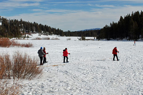 Cross country skiing at Tahoe Meadows, Highway 431, Nevada