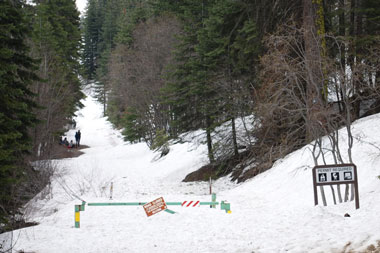 Cherry Gap snow play area, Kings Canyon National Park, CA