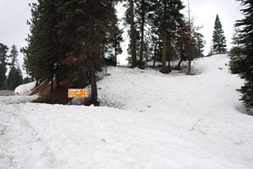 Quail Flat snow play area, Kings Canyon National Park, CA